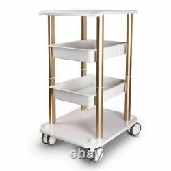3-Layer Trolley Stand Medical Rolling Cart 4 Wheel Salon Beauty Spa Equipment