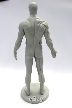 3D Total Anatomy Adaptable Male Figure for Artists or Medical Students E28