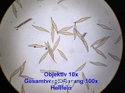 Binokulares Arzt Labor Mikroskop 50-1000x Hellfeld + Niedervoltleuchte