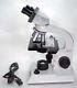 Binokulares Arzt Labor Mikroskop Hund medicus 100-1000x Hellfeld (Dunkelfeld)