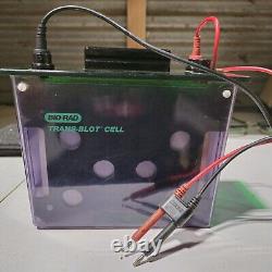 Bio-Rad Trans-Blot Cell. Medical Equipment. Laboratory