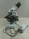 Carl Zeiss Binocular Mikroskop 47 30 11 / 9901 3 Objektive Labor Medizin
