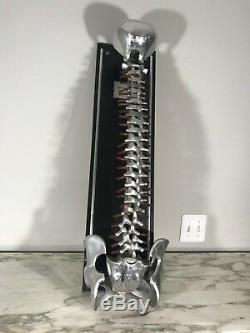 Chiropractic Fleet's Spinal Demonstrator Model No. 9 Human Spine Model
