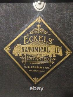ECKELS Anatomical Aid