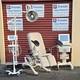 Exam Tables Sonesta Urology Ob Gyn New Upholstery Premier Used Medical Equipment