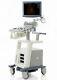 GE LOGIQ P5 OB / GYN with 2 probes