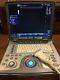 GE Logiq E Portable Ultrasound With 3 Probes And Metal Rolling Case
