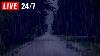 Gentle Rain On Forest Road To Help Sleep Easily Insomnia Relief Study Aid Relax Me Rain Sound