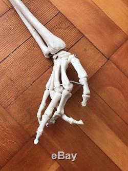 Human Skeleton Model Anatomical Life-size 180cm Unused