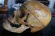 Human Skull Model Anatomy Medical Clinic Study 100% Authentic Real