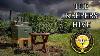 Interview With Founders Of The Keepers Hive Reduce Swarms No Heavy Lifting New Bee Hive System
