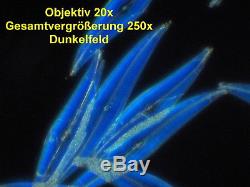 Labor Arzt Mikroskop Will BX300 Hellfeld Dunkelfeld Phasenkontrast 125-500x