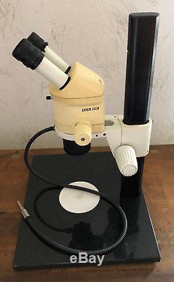 Leica Mikroskop Microscope Stereomikroskop MZ6 mit Stativ