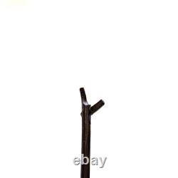 Medtronic REF 9560568 Scissor