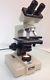 Nikon Binocular Microscope Model SC 4x 10x 40x Oil Objectives