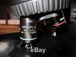 Olympus BX45 Microscope
