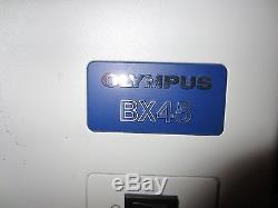 Olympus BX45 Microscope