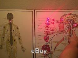 RARE Chiropractic spinal nerve lighted unit