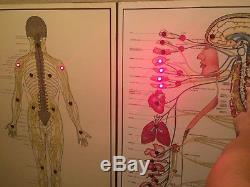 RARE Chiropractic spinal nerve lighted unit