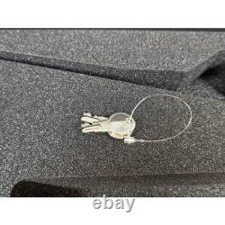Richard Wolf Endoscope Case Rigid Hard Shell Protective Medical Equipment WithKeys