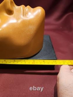 Safe Start Surgical Simulator By Iatrotech, Head/Eye Medical Bizarre/Oddities