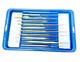 Storz ENT Ear Pick Set, ENT Instrument Set Otology Curette Set with Case