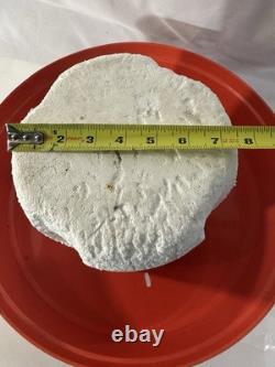 Thermo Scientific Locator 4 Cryostorage Tank Cryogenic LID System Ln2