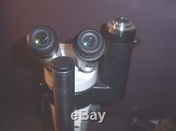 Trinocular Stereo Microscope Wild Heerbrugg M3 Widefield SWITZERLAND R306 PF
