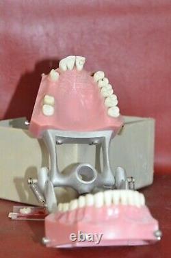 Vintage Columbia Dentoform Dental Form Mouth Teeth Dentistry Gums Display Tool