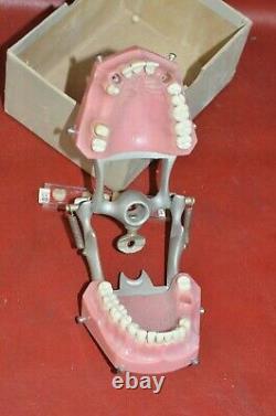 Vintage Columbia Dentoform Dental Form Mouth Teeth Dentistry Gums Display Tool