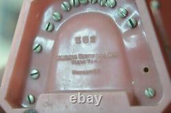 Vintage Columbia Dentoform Dental Form Mouth Teeth Dentistry Gums Display Tool