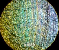 Zeiss Reflected Light Pol Nomarski DIC Microscope