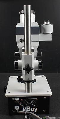 Zeiss Stereo Microscope with eyepieces