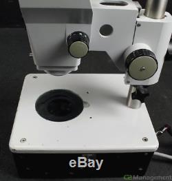 Zeiss Stereo Microscope with eyepieces