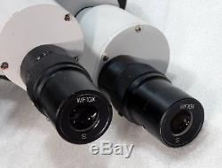 Zoom Stereomikroskop Stereolupe Stemi Vergrößerung 10x. 40x + Durchlichtstativ